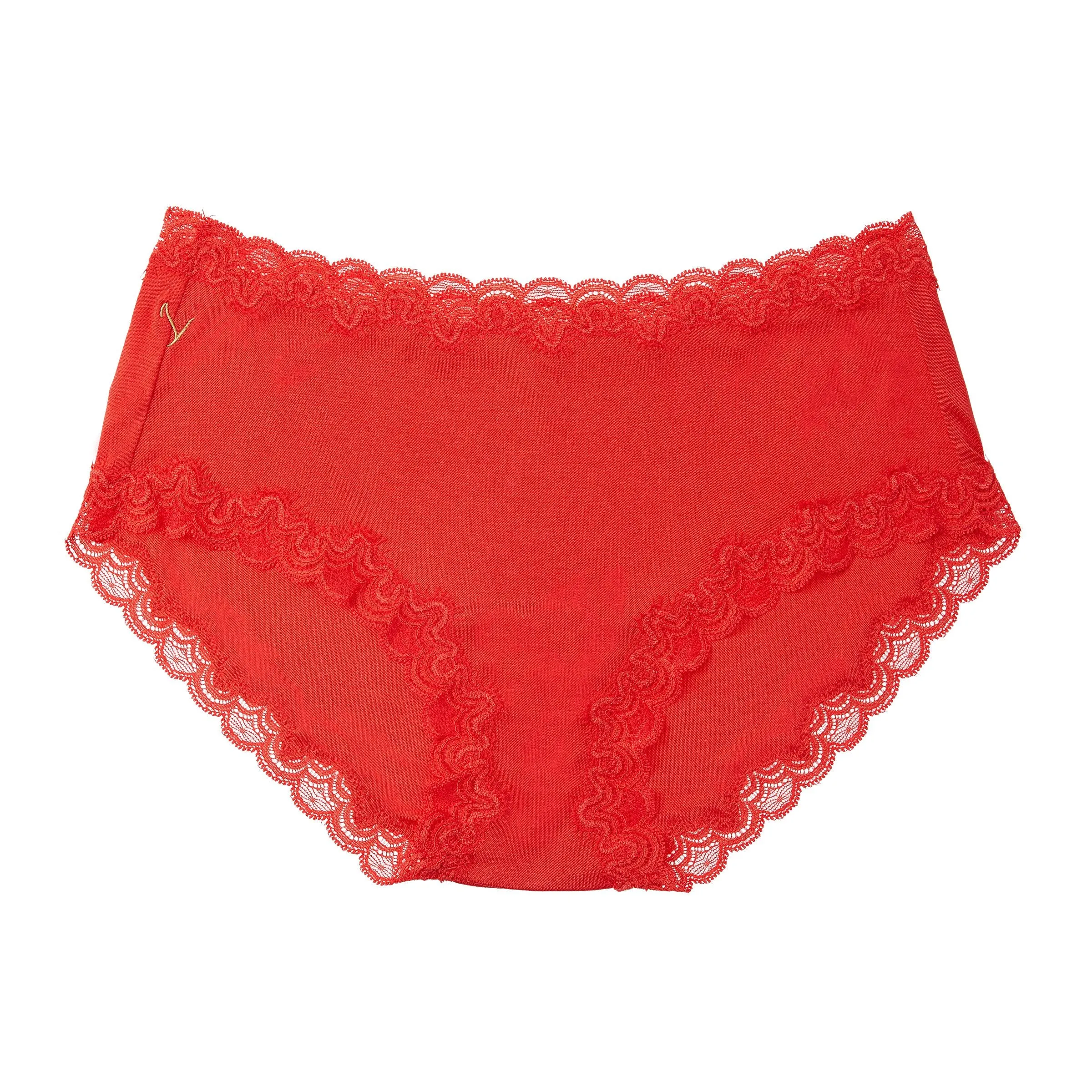 Soft Silk Briefs